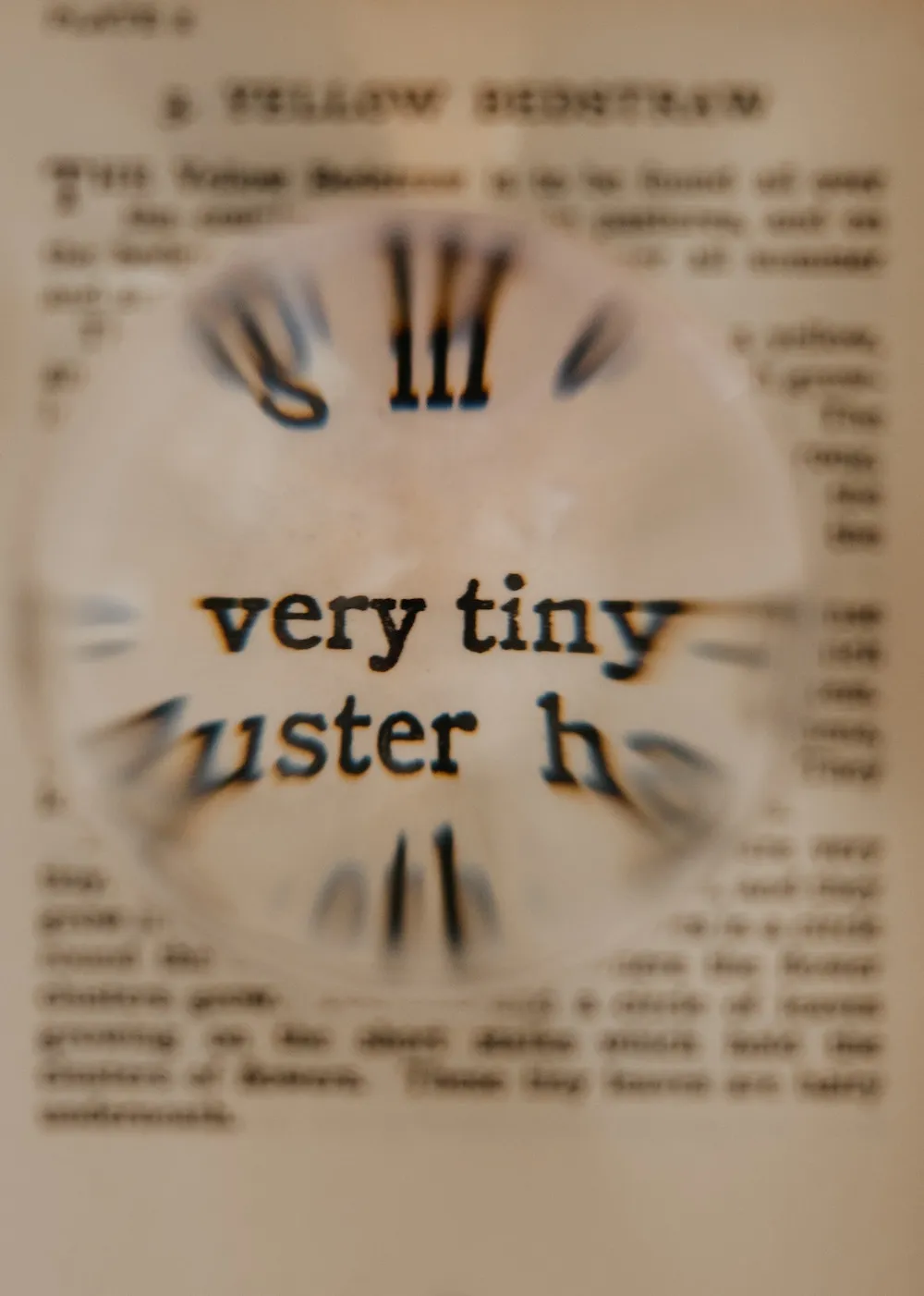 Text in a book that reads "very tiny" enlarged by a magnifying glass.